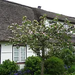 Apartman Geltinger Bucht By Interhome Pommerby