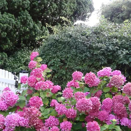 Geltinger Bucht By Interhome *