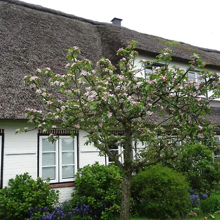 Apartman Geltinger Bucht By Interhome Pommerby