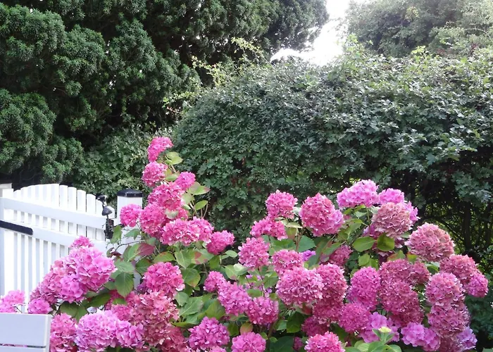 Geltinger Bucht By Interhome *